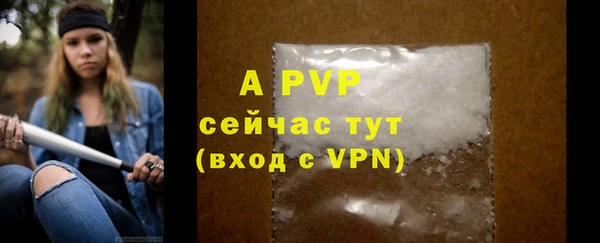 apvp Осташков