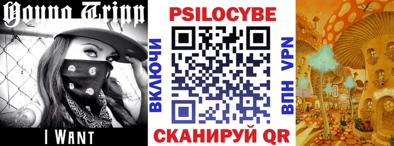 как найти   Иркутск  Галлюциногенные грибы Psilocybe 